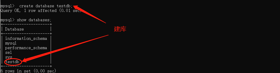 如何通过MySQL数据库地址指令实现临时登录？