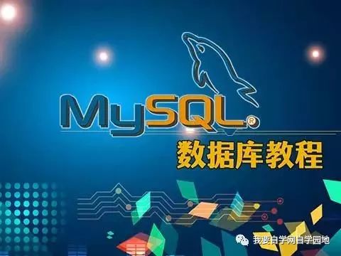 如何有效进行MySQL数据库培训以提升文档处理技能？