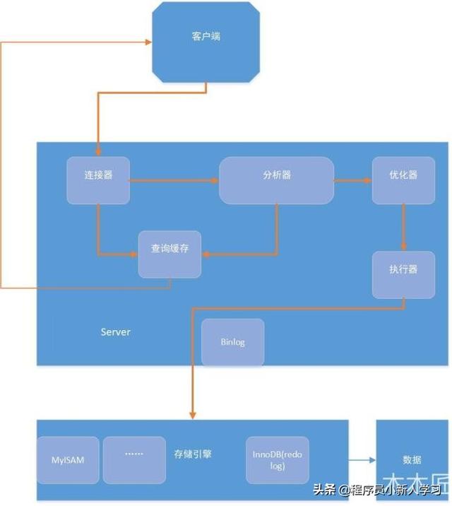 如何在MySQL中实现条件分支逻辑？