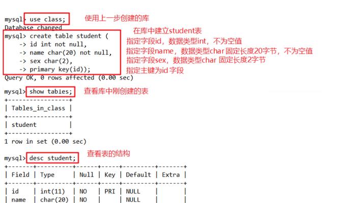 MySQL数据库入门，你需要了解哪些关键概念？