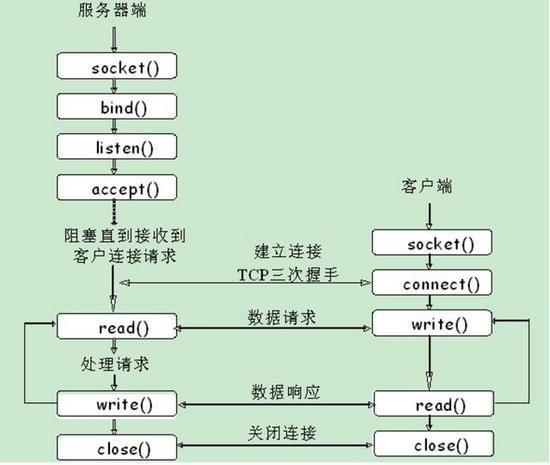 TCP客户端和服务器的区别与联系是什么？