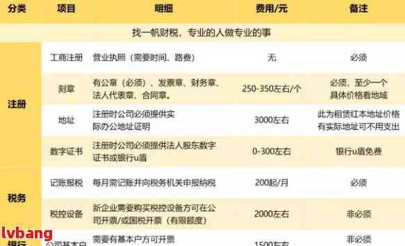 公司域名注册费用应该计入哪个会计科目？