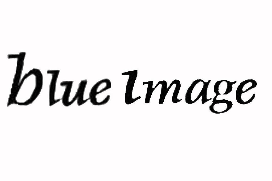 blue 域名  第1张