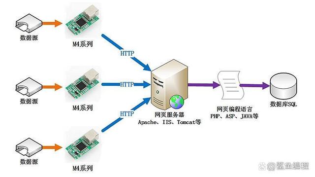 网络爬虫与Web服务器，探索它们之间的相互作用与影响  第1张