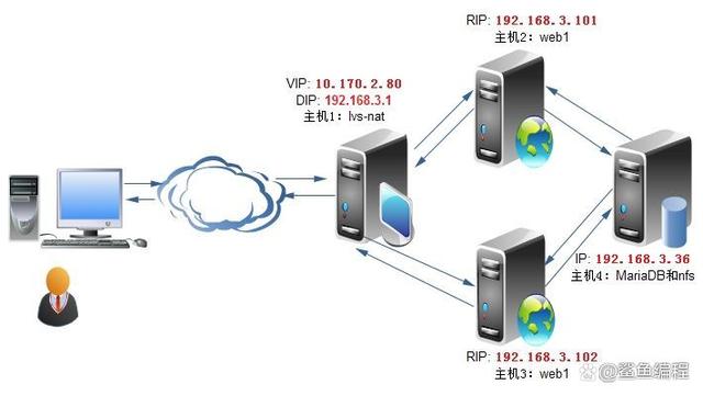 校园网中的Web服务器承担哪些关键职能？