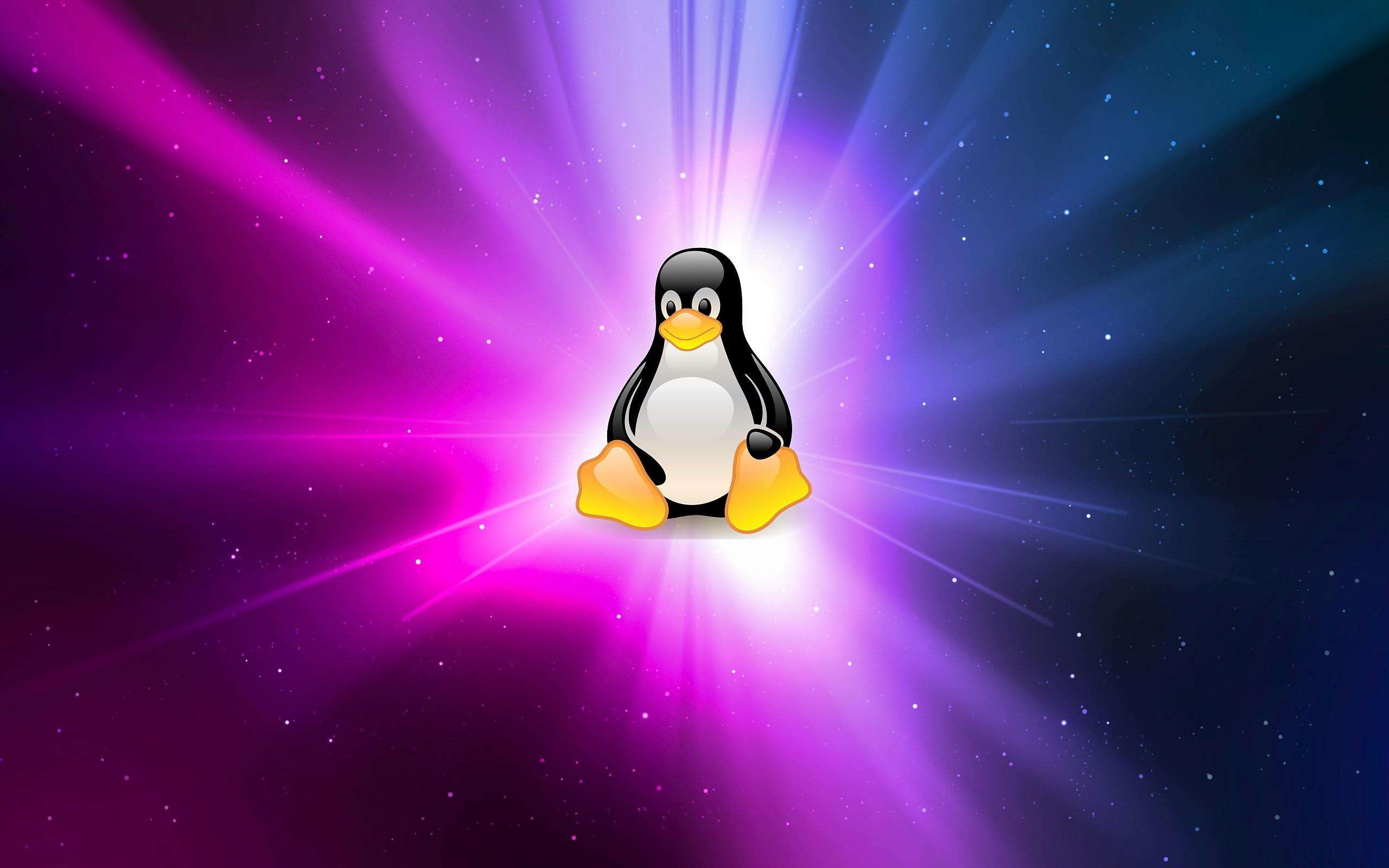 backup linux