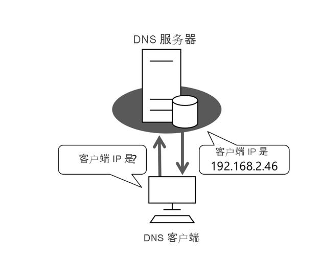 为什么DNS服务器是保障网络访问的关键  第1张