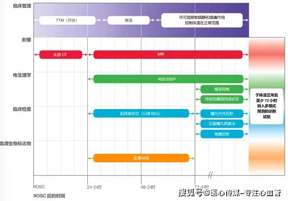 构建现代网站时，如何评估BCS技术的性能表现？