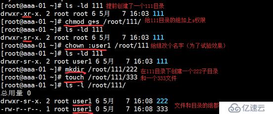 如何在Linux系统中处理中文目录？