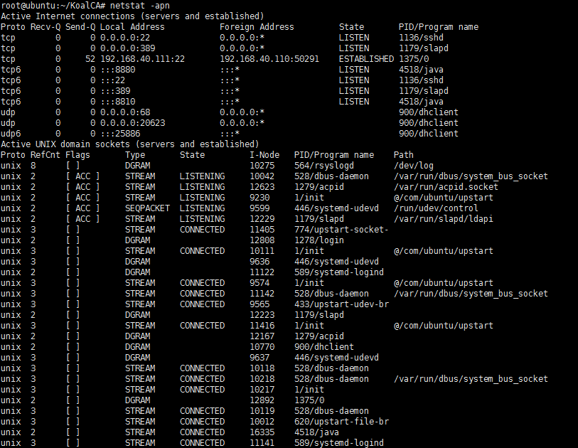 如何在Linux系统中高效搜索应用程序？
