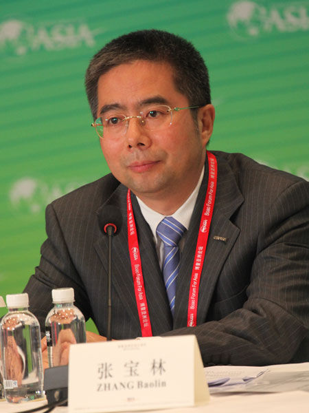张宝林cdn，探索其背后的技术与应用