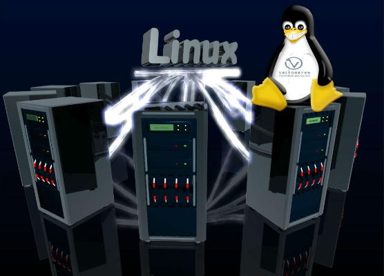 哪个Linux发行版是服务器部署的最佳选择？