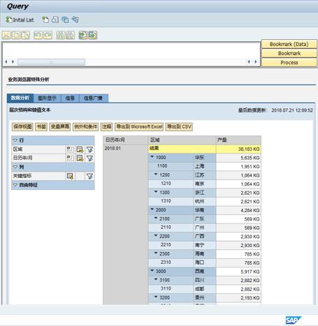 为何SAP监控大屏配置应用监控显示成功却无数据显示？