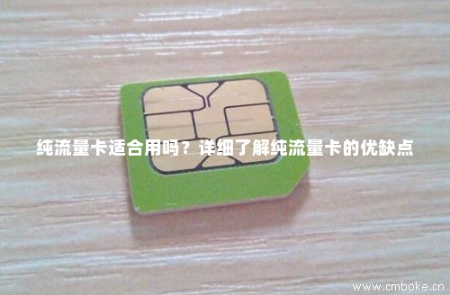 公司纯流量卡究竟有何特别之处？