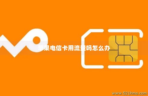 苹果设备能直接使用电信运营商提供的流量卡吗？  第1张