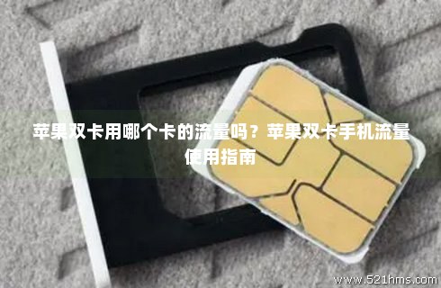如何正确使用购买的苹果卡流量功能？  第1张