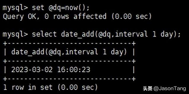 如何在MySQL中使用DATE函数处理日期数据？
