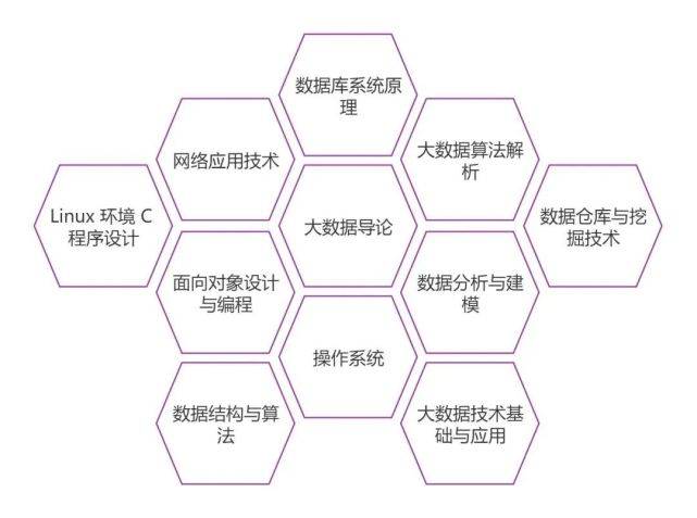 大数据课程实验如何助力我的学术成长？