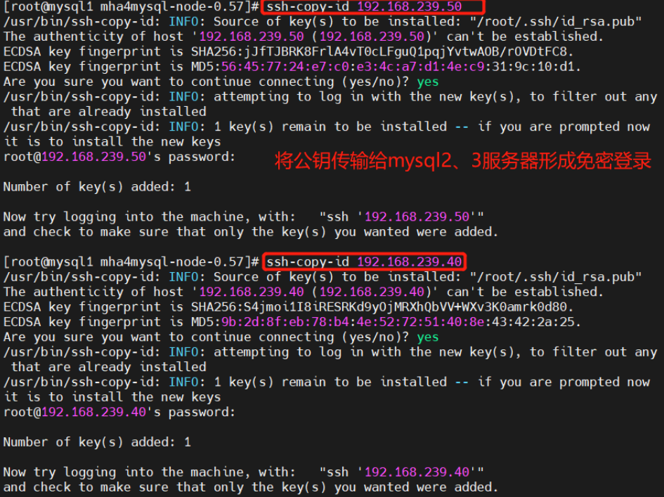 如何通过SSH连接来安全地访问MySQL数据库？