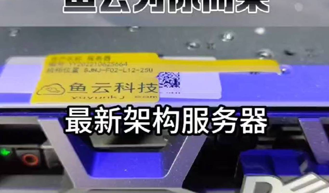 如何高效租用免备案VPS服务？
