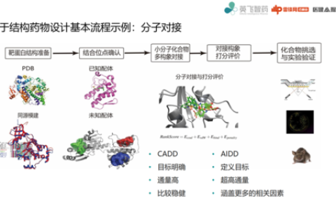 如何利用大规模数据仓库提升药物虚拟筛选的效率与准确性？  第1张