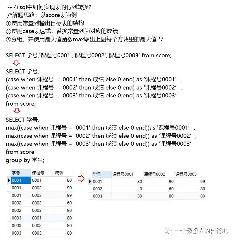 如何有效利用动态SQL标签来提高数据库查询效率？