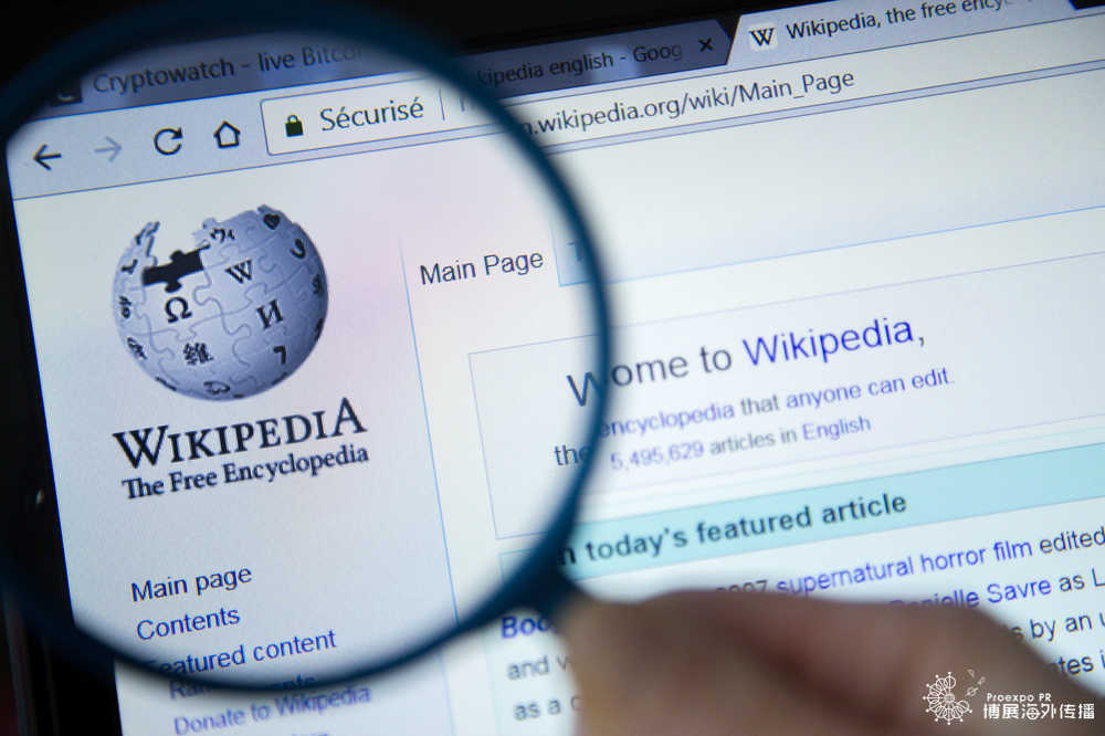 Chapie Wiki是什么？探索这一独特知识库的奥秘！