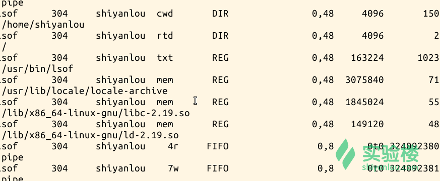 如何有效使用Check Linux命令来监控和管理系统？