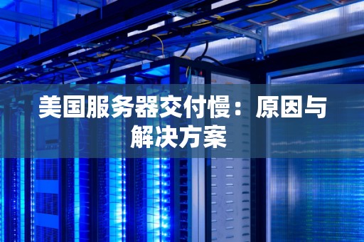 美国服务器软件慢：原因与解决方案