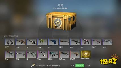 CSGO中的挂服务器和箱子功能有何不同？  第1张