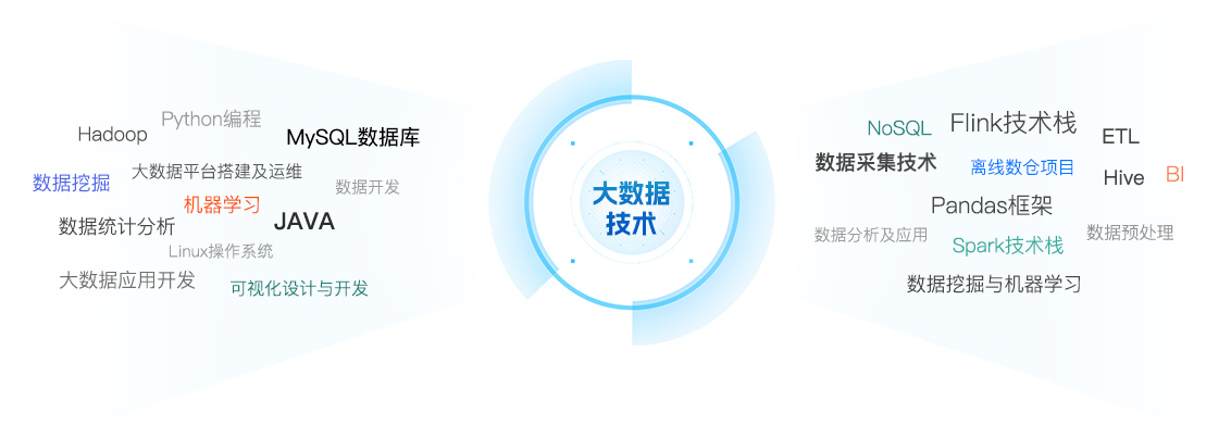 大数据浪潮下，我们如何预见其未来演变与功能扩展？