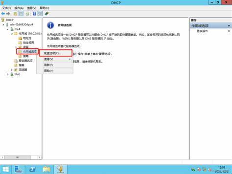服务器上能否成功安装Windows 10操作系统？  第1张