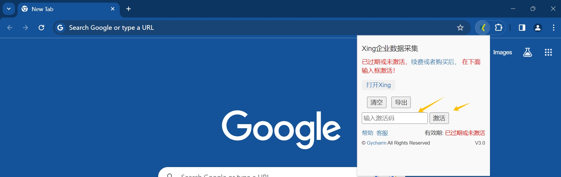 为什么在Chrome中找不到Instant Extended API？