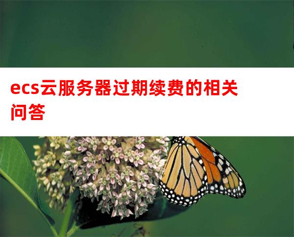 ECS云服务器到期后续费延期全攻略，费用解析与省钱技巧
