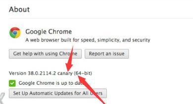 Chrome浏览器的Windows API有哪些独特功能和使用方法？  第1张
