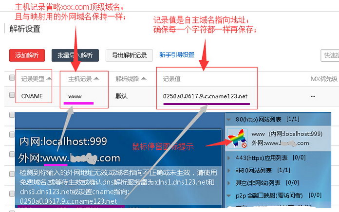 如何正确解析并使用新注册域名的解析记录信息？