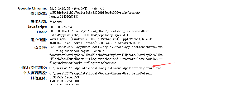 Chrome如何给页面嵌入JS？