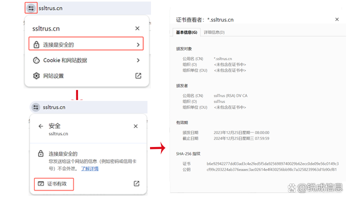 如何查看Chrome中的SSL证书？  第1张
