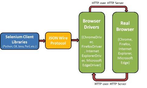 Chrome Driver API是什么？如何使用它进行自动化测试？
