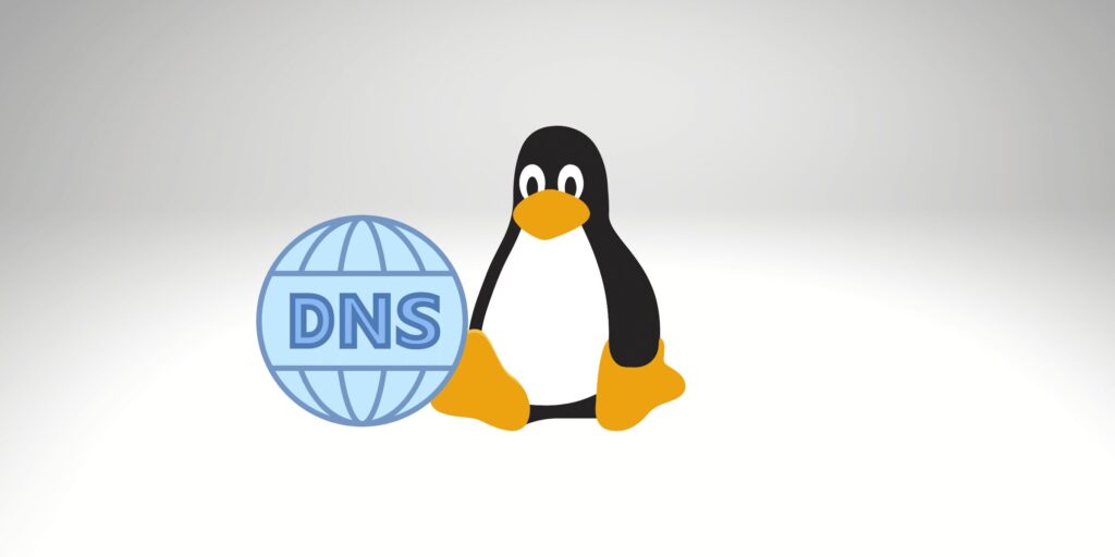 debian dns服务器  第1张