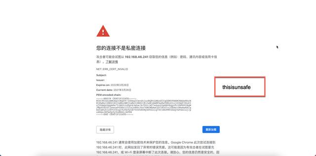 Chrome 如何忽略证书错误？
