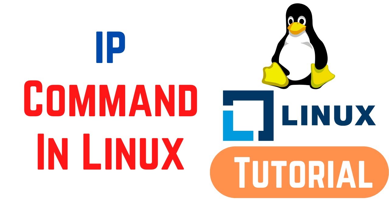 什么是CIP VIP Linux？它有何独特之处？