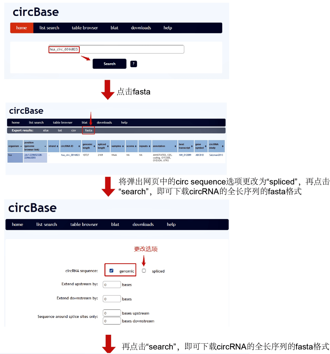 CI框架的域名应该在哪里查找？