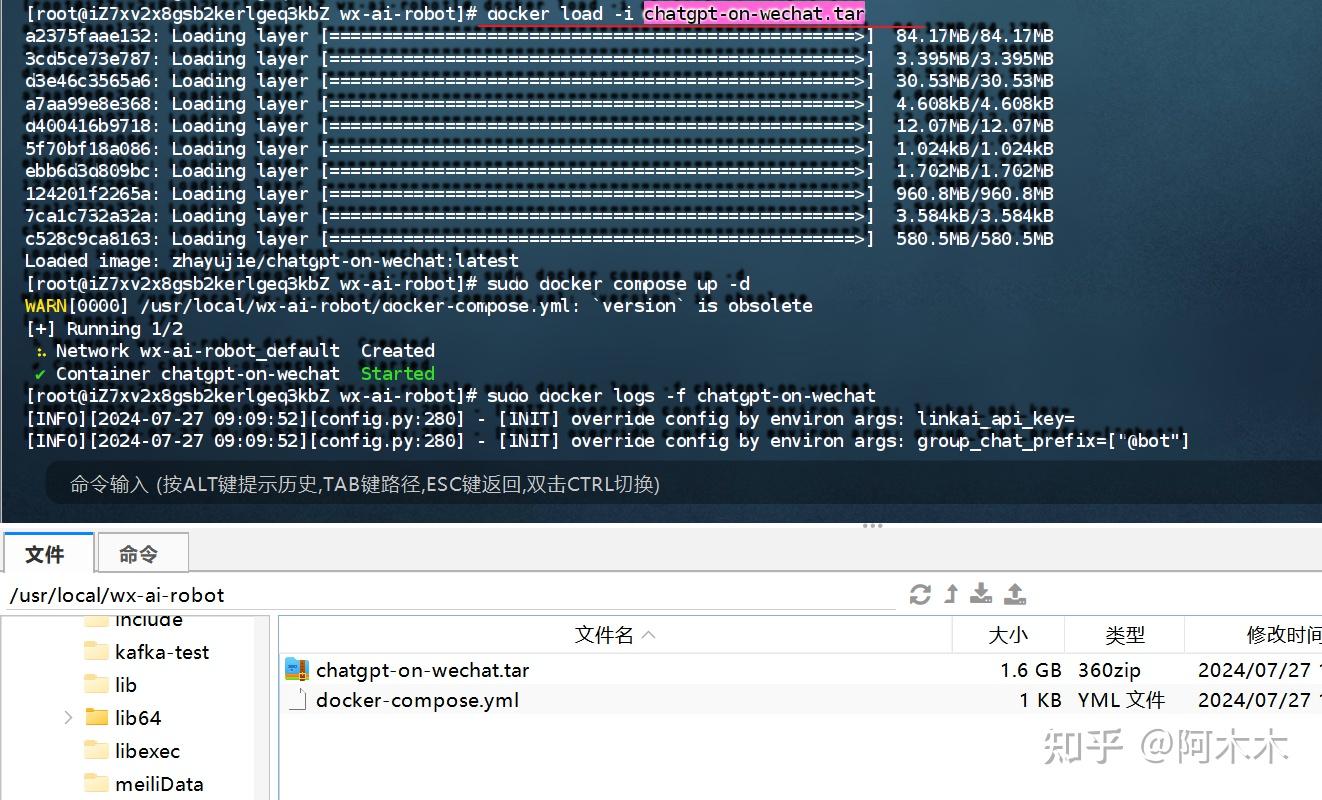 登录过程中的api_token扮演着怎样的角色，以及它在CSG文件共享中的重要性是什么？