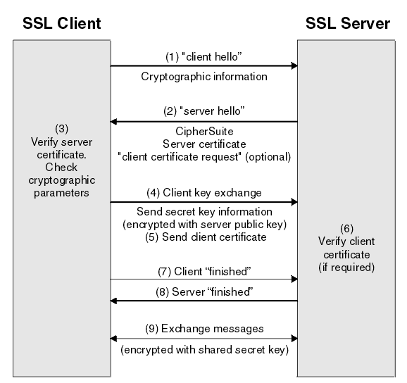 MySQL中的ssl_no参数是什么？它与ssl有何关联？