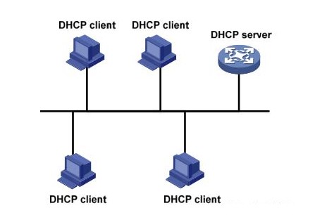 DHCP公共网络  第1张