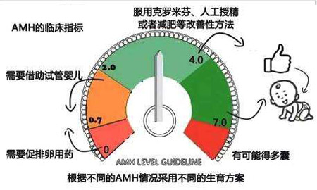 如何高效利用AMH进行网站建设？