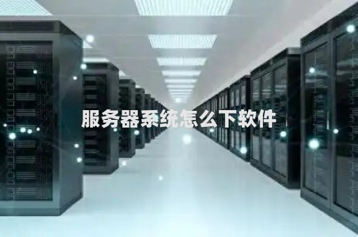 服务器可以装什么软件有哪些  第1张