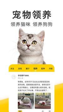 有宠宠物社区最新版v1.0.2带来了哪些新功能和改进？